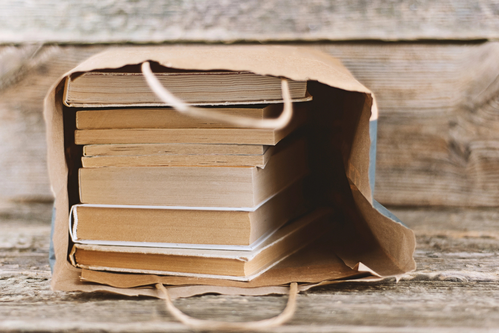 paper bag with books - deposit photos